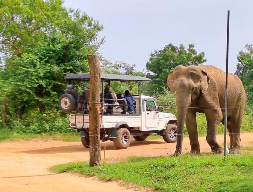 Wild Park Safari Home Stay 우다왈라웨 외부 사진