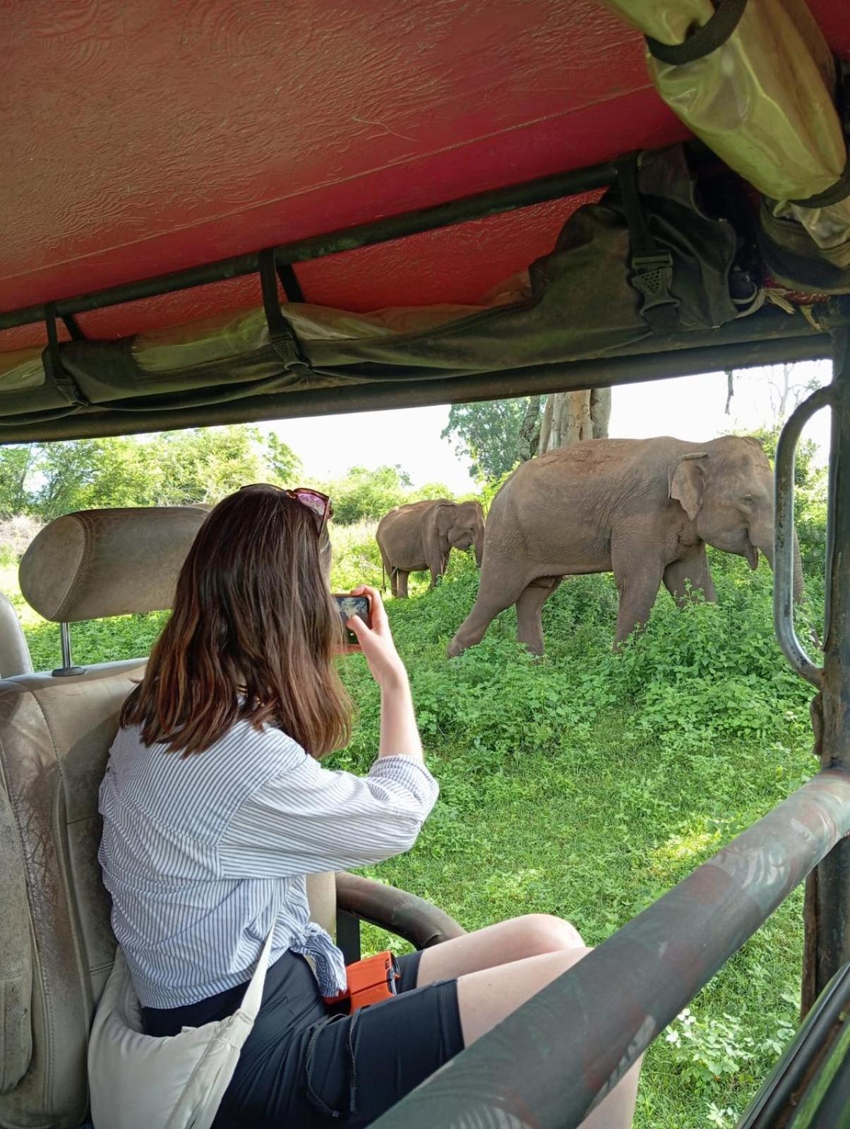 Wild Park Safari Home Stay 우다왈라웨 외부 사진