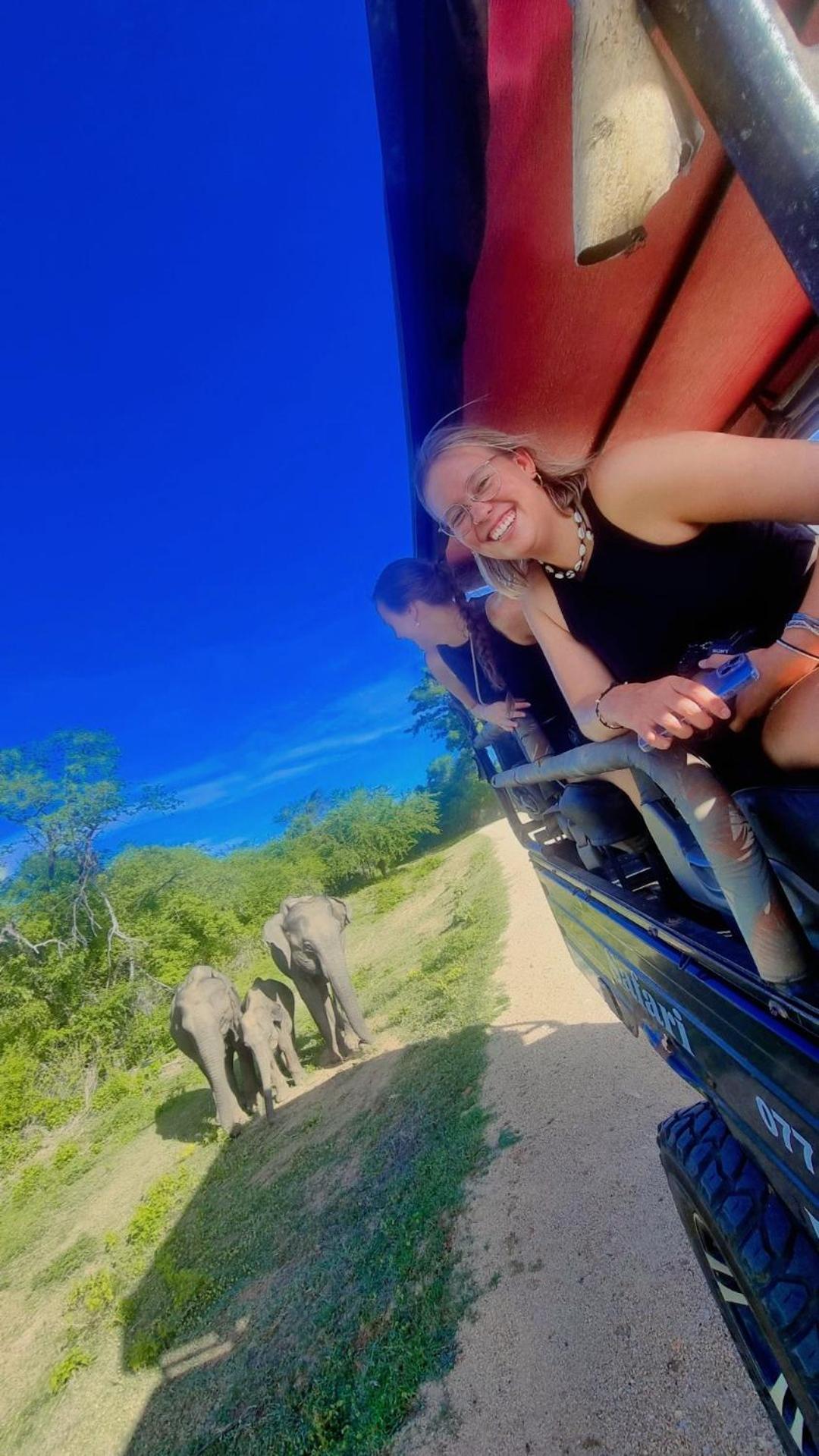 Wild Park Safari Home Stay 우다왈라웨 외부 사진